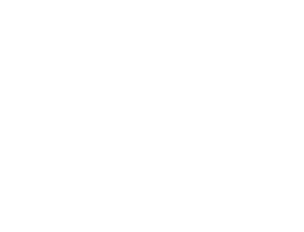 Union Fortress